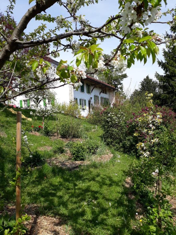 Chez Cathy Bed & Breakfast Arzier Eksteriør bilde